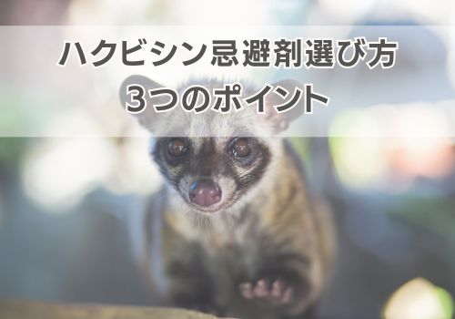 まず確認!ハクビシン忌避剤の選び方3つのポイント