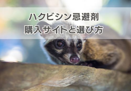 ハクビシン忌避剤を購入のおすすめサイトと選び方を解説