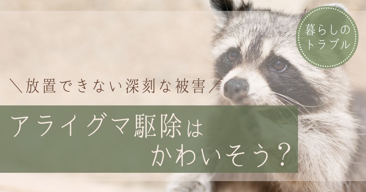 アライグマ駆除はかわいそう?でも放置できない5つの深刻な被害とは